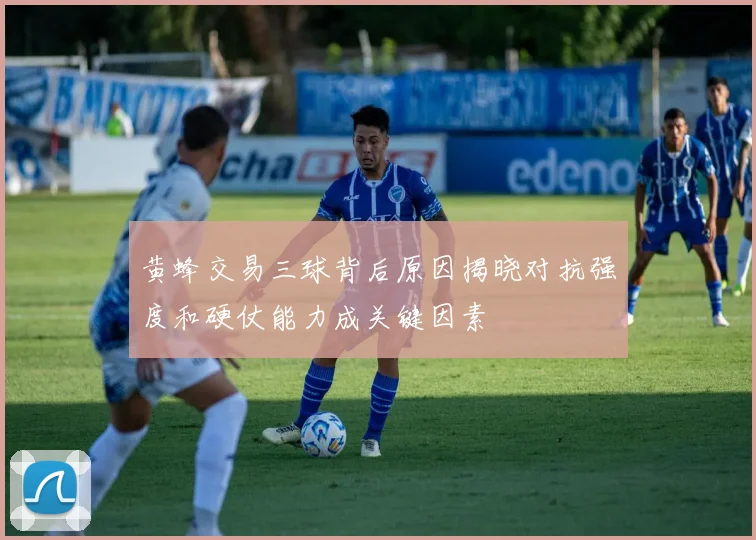 黄蜂交易三球背后原因揭晓对抗强度和硬仗能力成关键因素